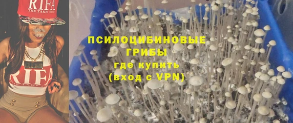 винт Арсеньев